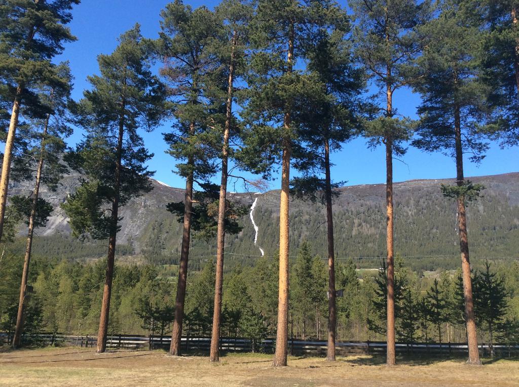 Furuly Camping Nordberg Luaran gambar