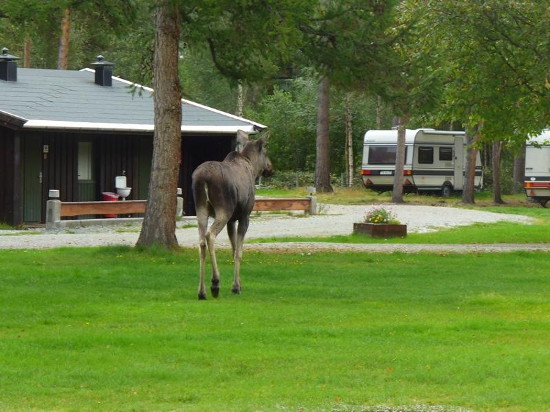 Furuly Camping Nordberg Luaran gambar